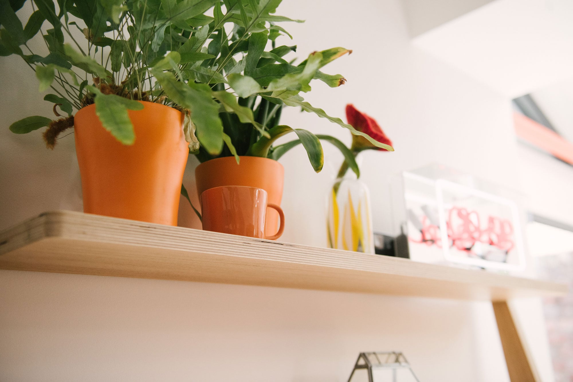 Bespoke Plywood Shelving
