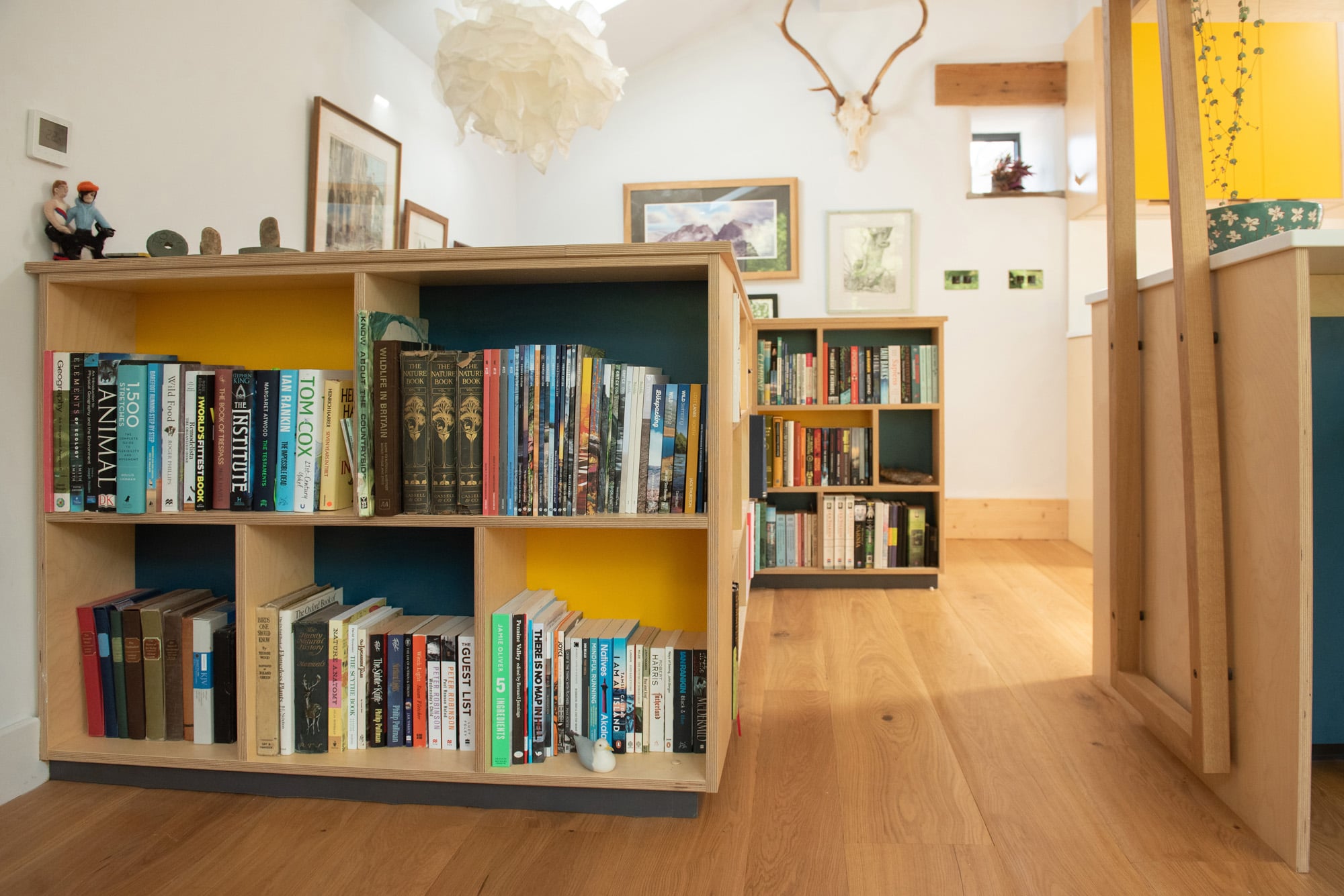 bespoke plywood bookcase 