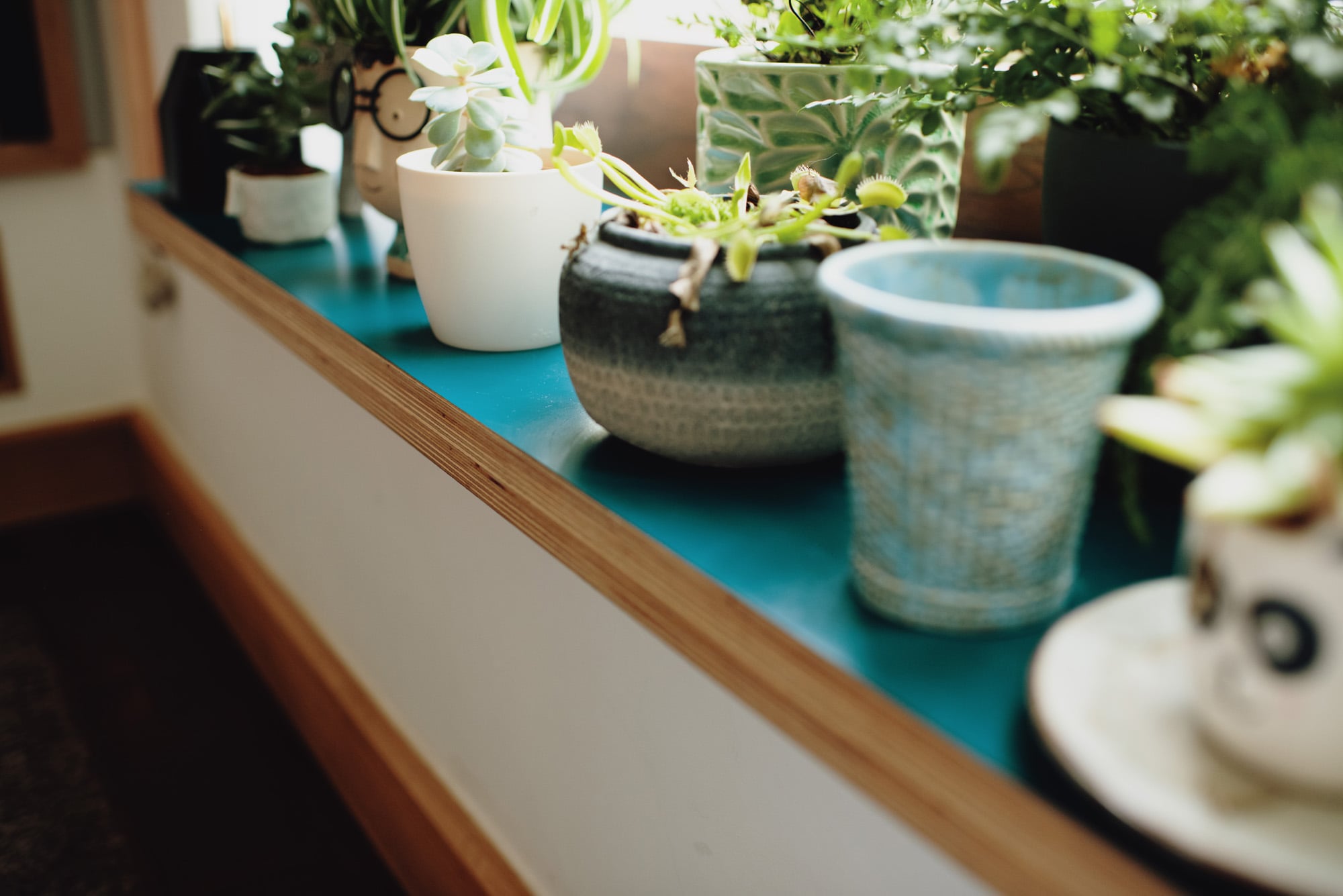 plywood window ledge with house plants 