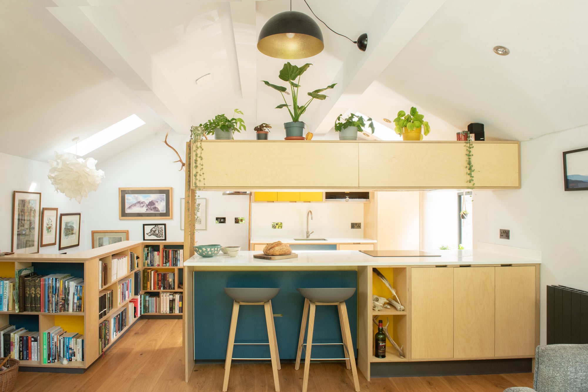 birch, yellow and blue plywood kitchen