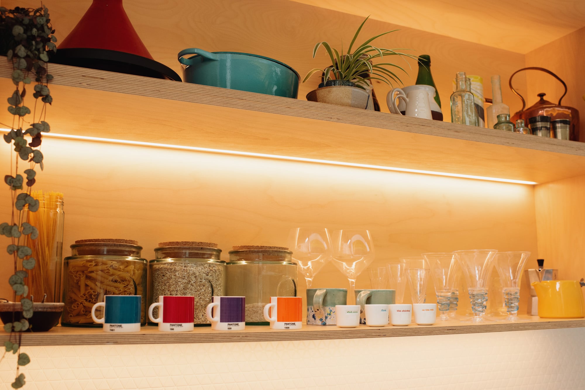 illuminated open shelving laden with kitchenware
