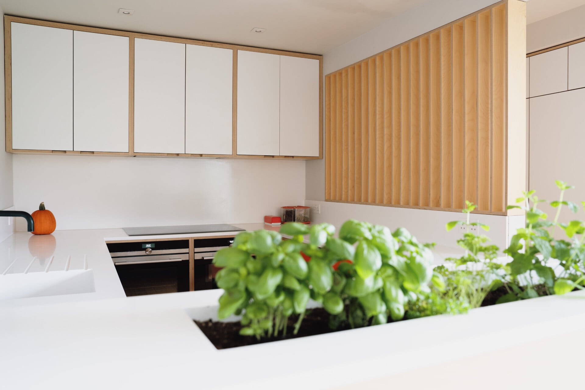 functional herb planter in practical kitchen
