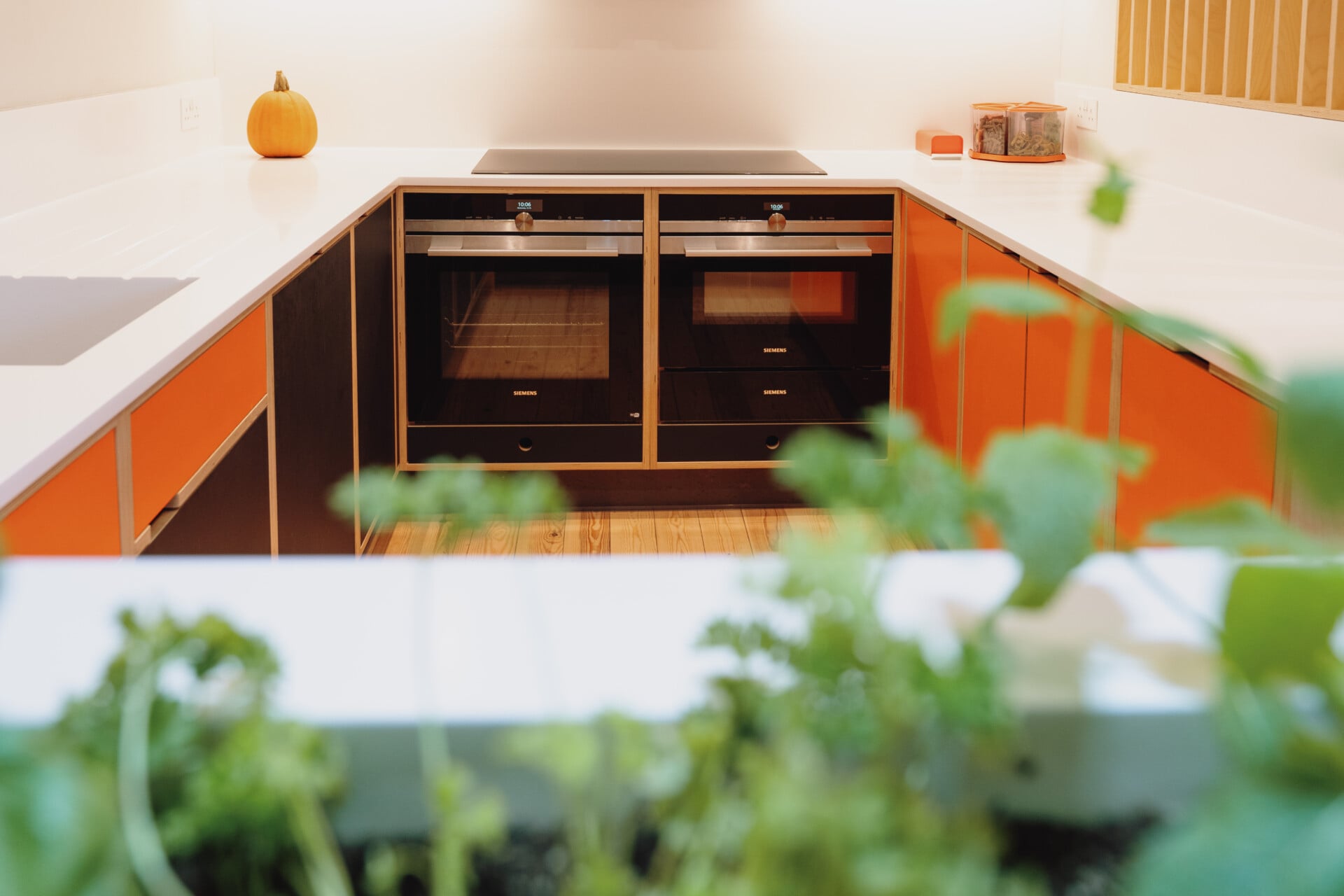 Close-up of herb planter in plywood kitchen with orange cabinet fronts